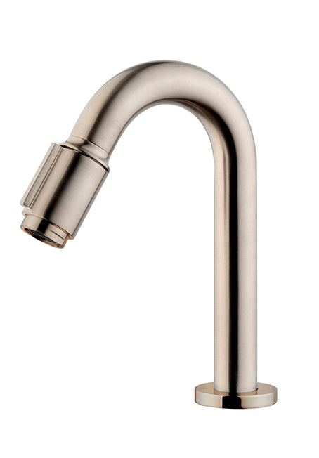 Caral Victoria fonteinkraan 1/2'' geborsteld staal PVD