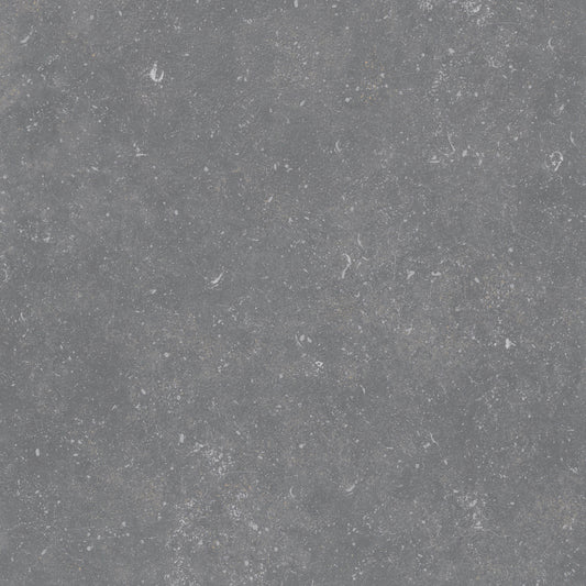 Belgium Stone Grey 60x60 rect - WDtegels