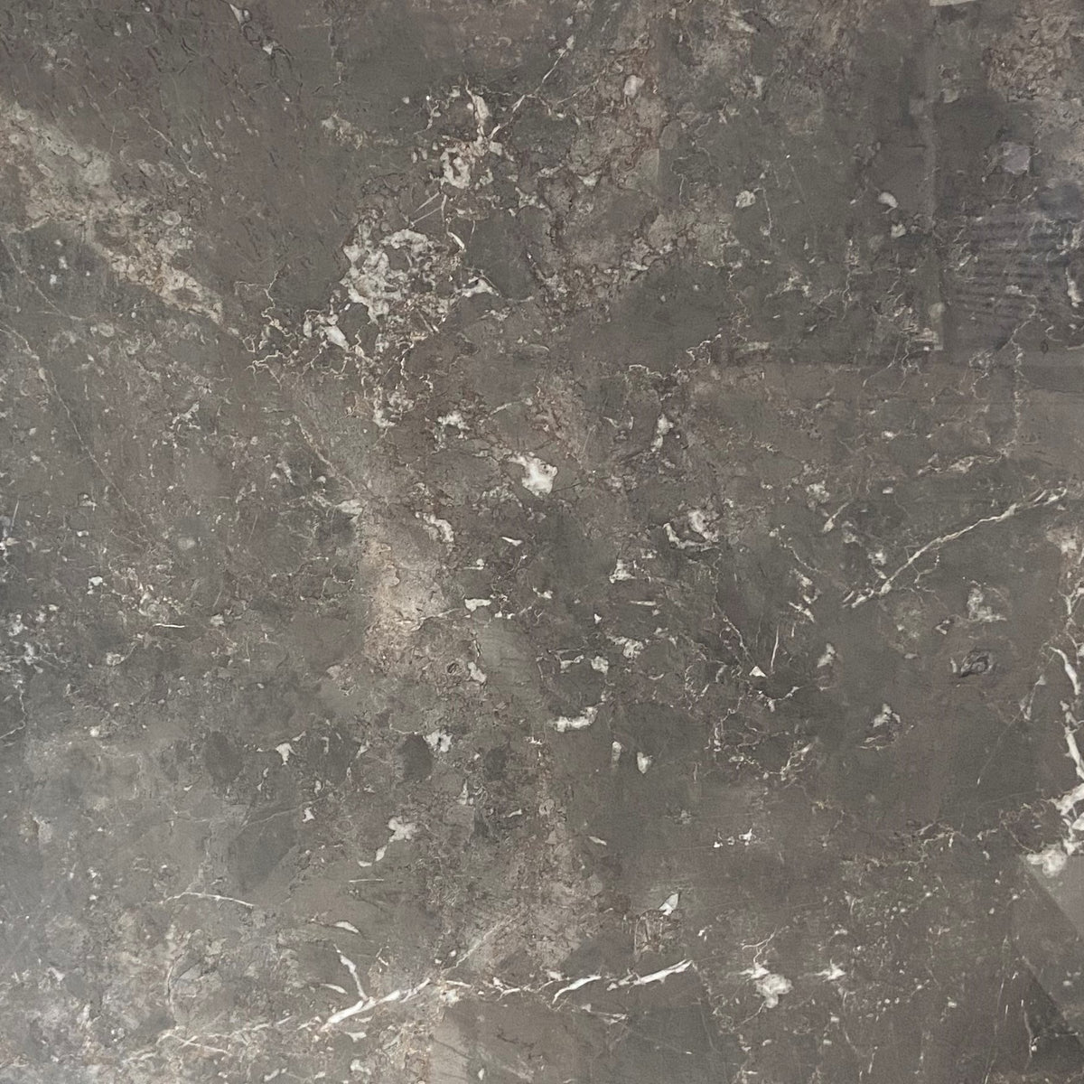 Vloer- en wandtegel Divina Brown gepolijst 80x80 rett - foto 2