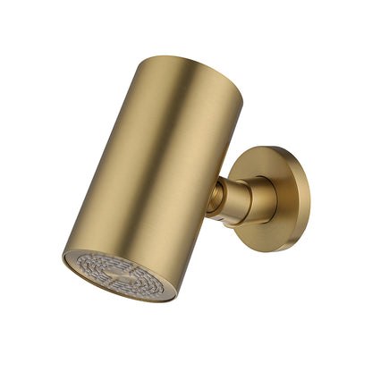 UniMatch Beam hoofddouche rond 1 stand met muurbevestiging geborsteld messing PVD