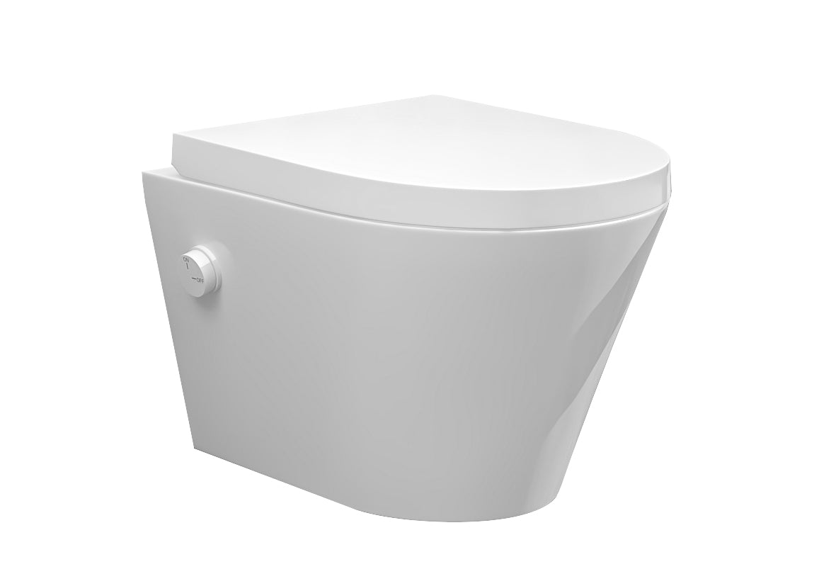 Vesta wall-mounted toilet rimless with bidet tap, cold water, and Vesta toilet seat, matt white