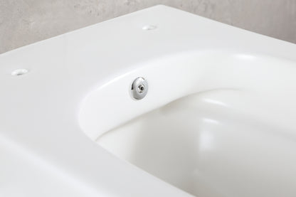 Vesta wall-mounted toilet rimless with bidet tap, cold water, matt white