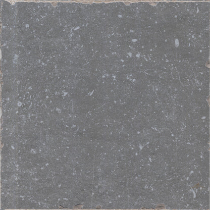 Vloertegel Belgium Stone Grey Anticato 60x60 rect