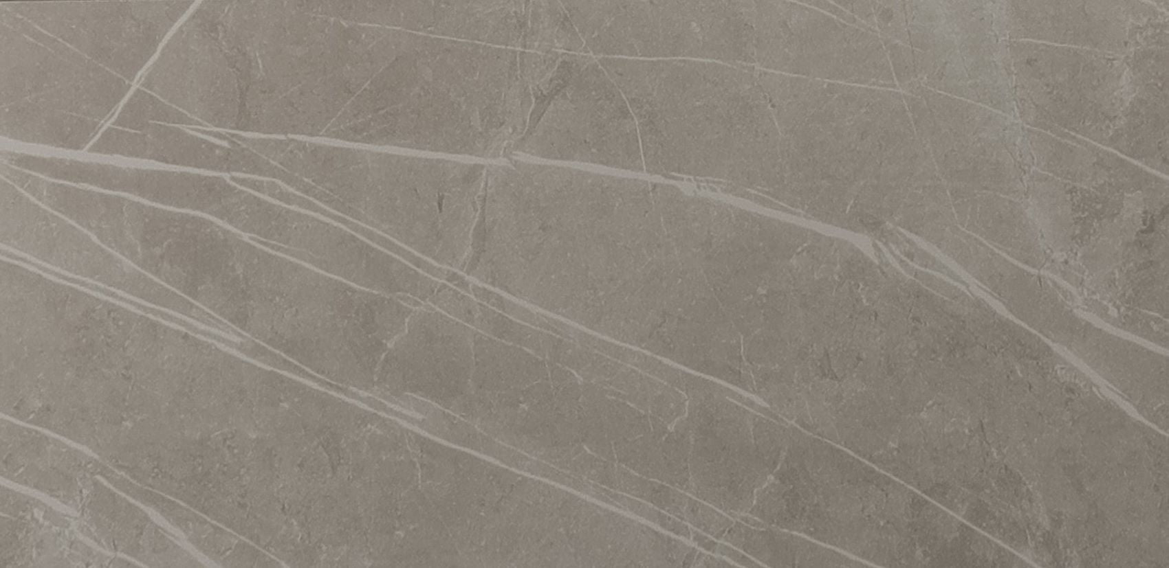 Vloertegel Dover Grey Poli 30x60 rect - WDtegels