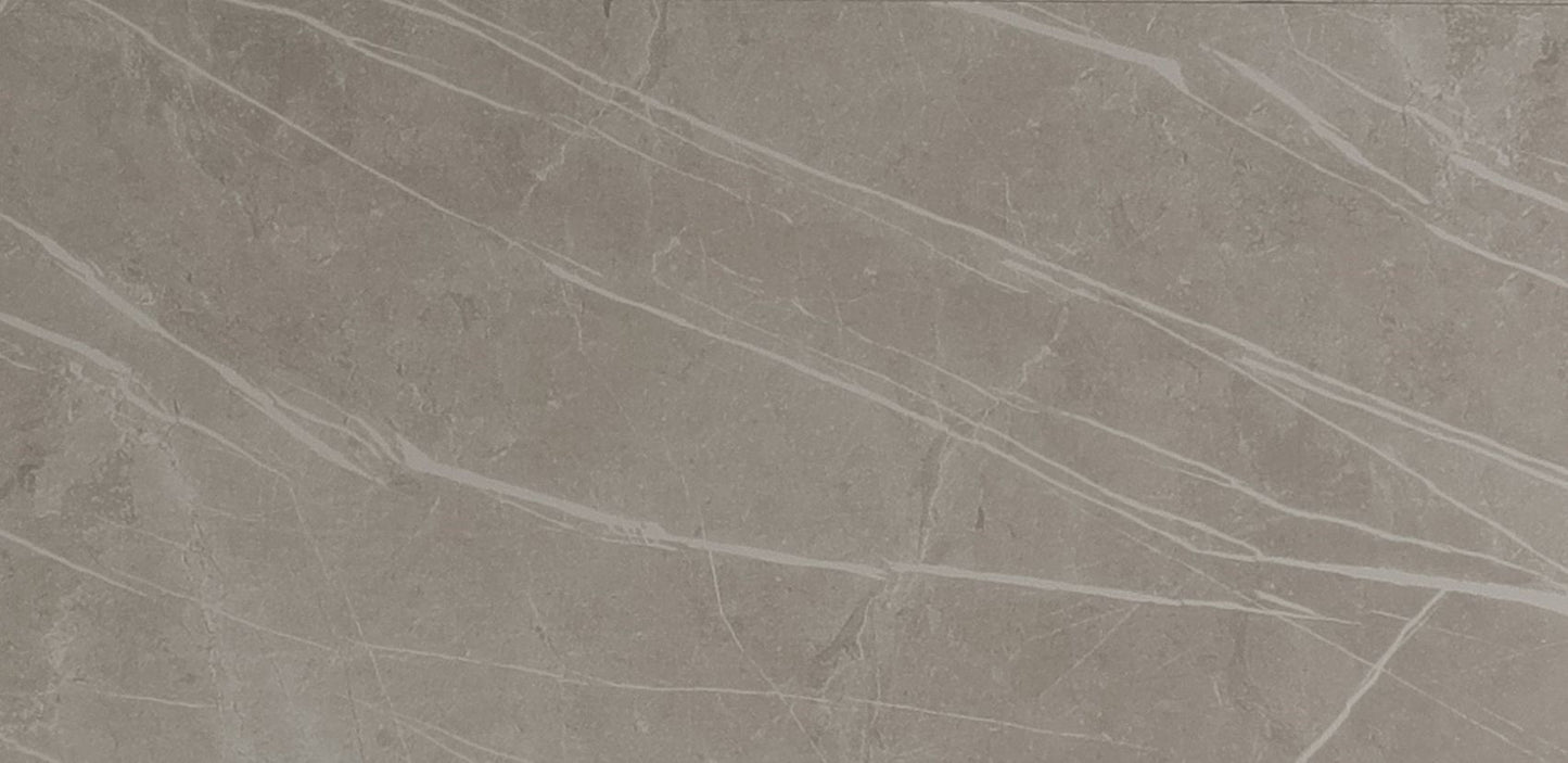 Vloertegel Dover Grey Poli 30x60 rect - WDtegels