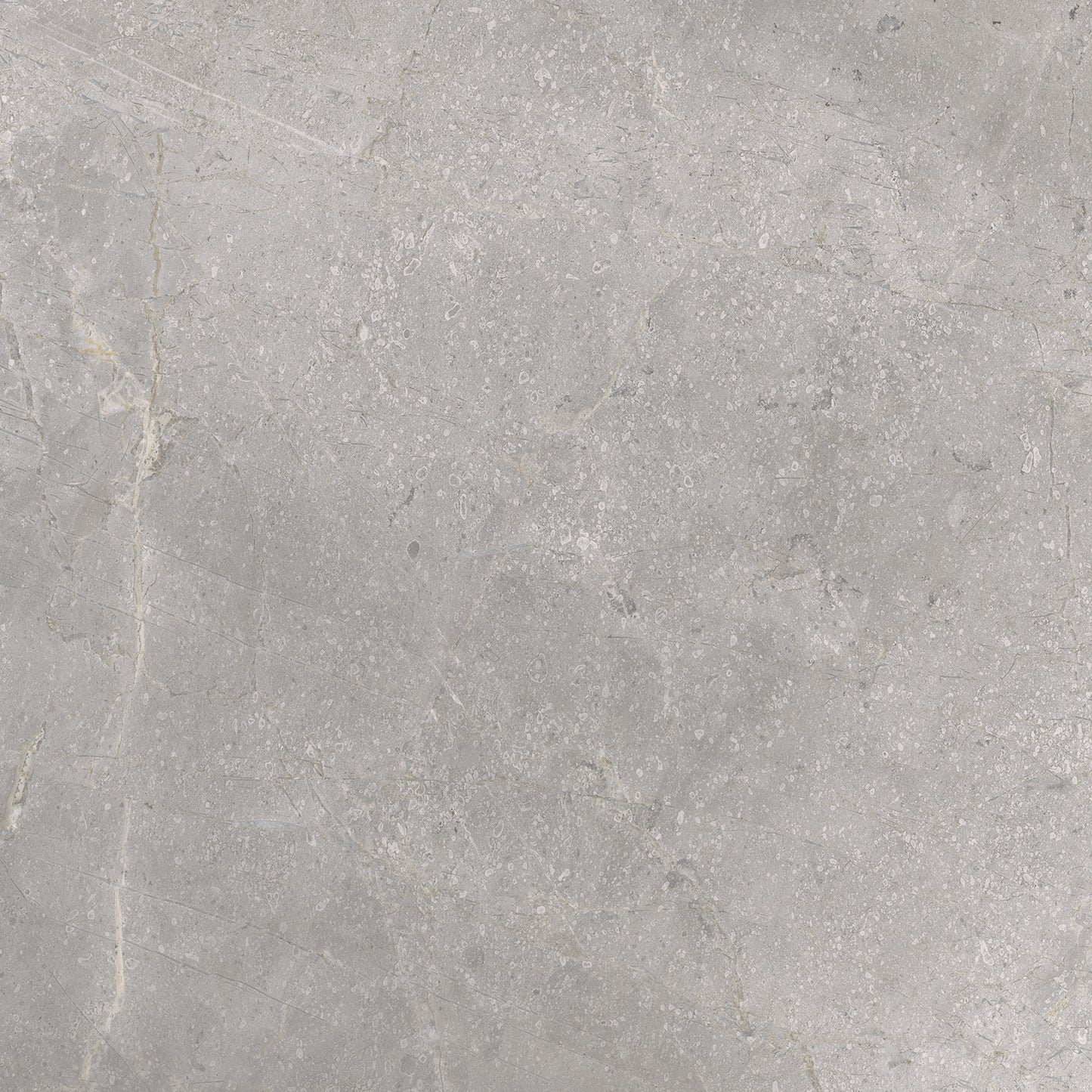 Vloertegel Masterstone silver 60x60 rect