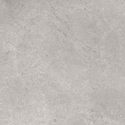 Vloertegel Masterstone silver 60x60 rect