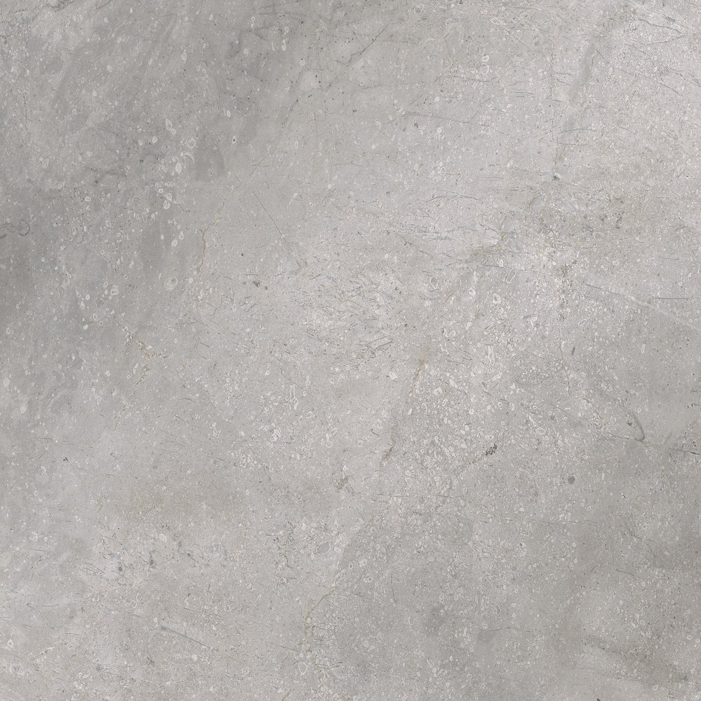 Vloertegel Masterstone silver 60x60 rect