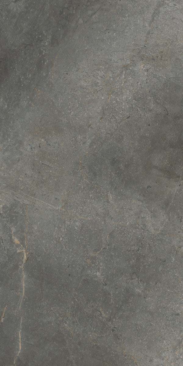 Vloertegel Masterstone Graphite 60x120 rect
