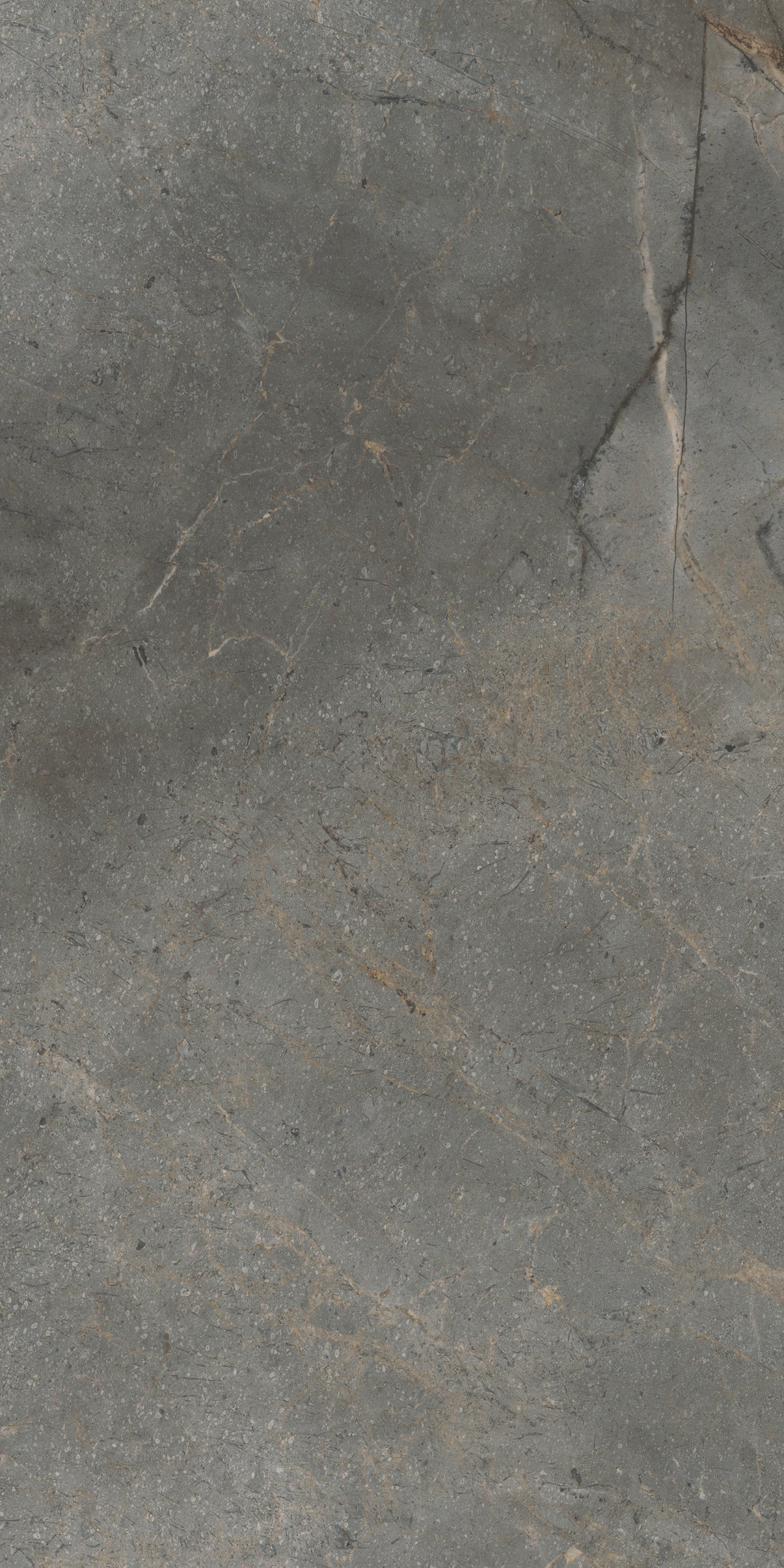 Vloertegel Masterstone Graphite 60x120 rect