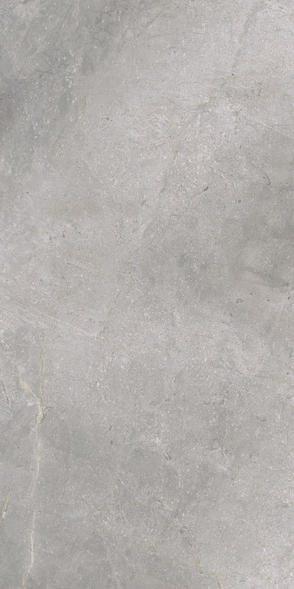 Masterstone Silver 60x120 rect