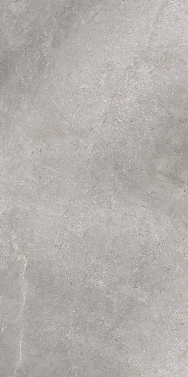 Masterstone Silver 60x120 rect