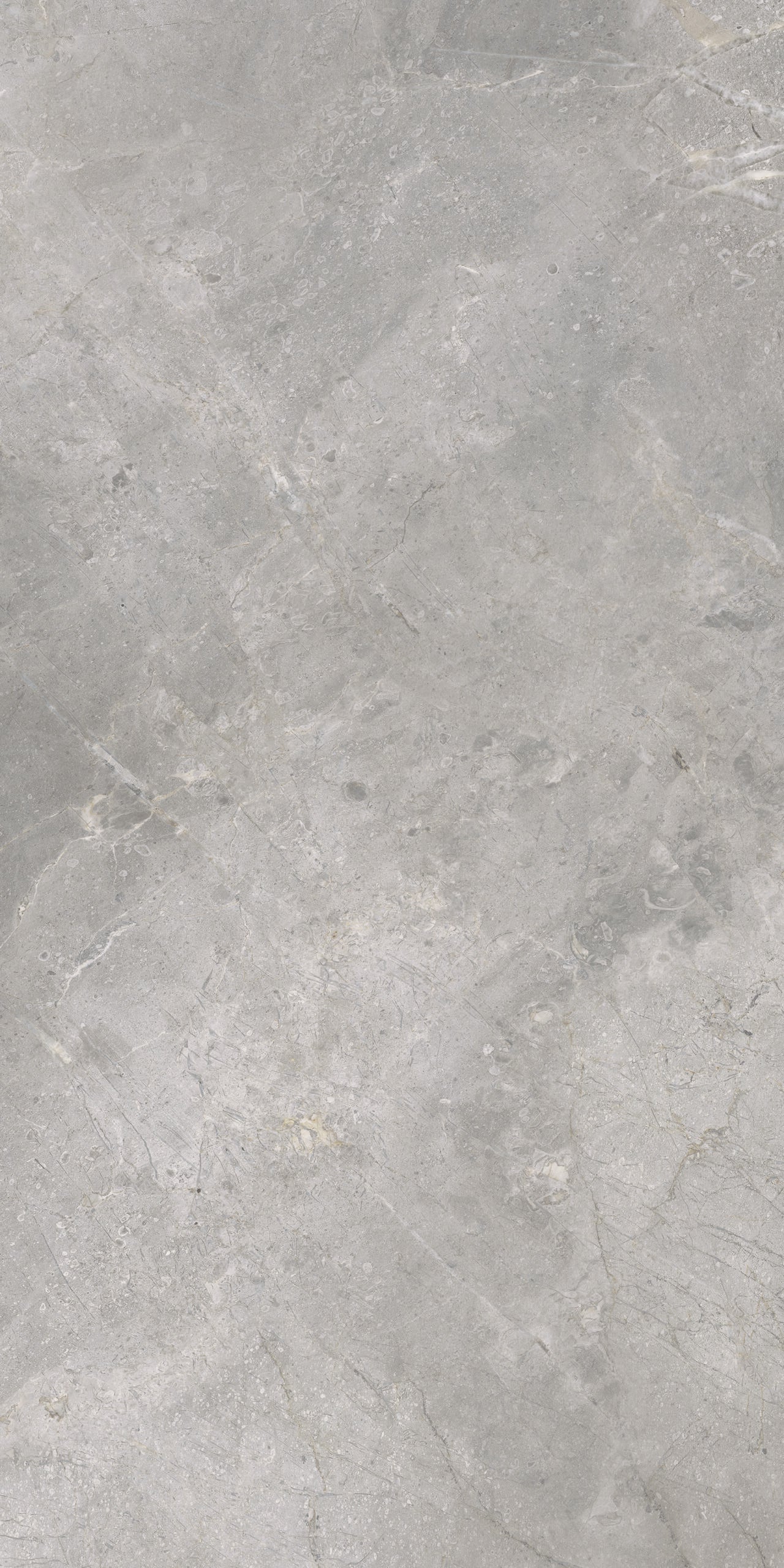 Masterstone Silver 60x120 rect