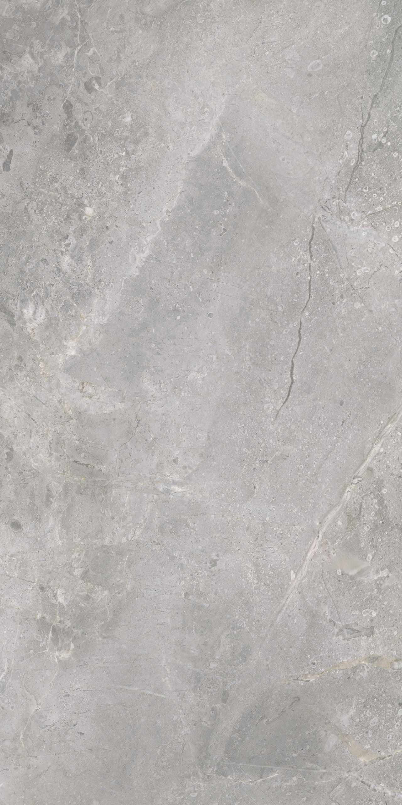 Masterstone Silver 60x120 rect