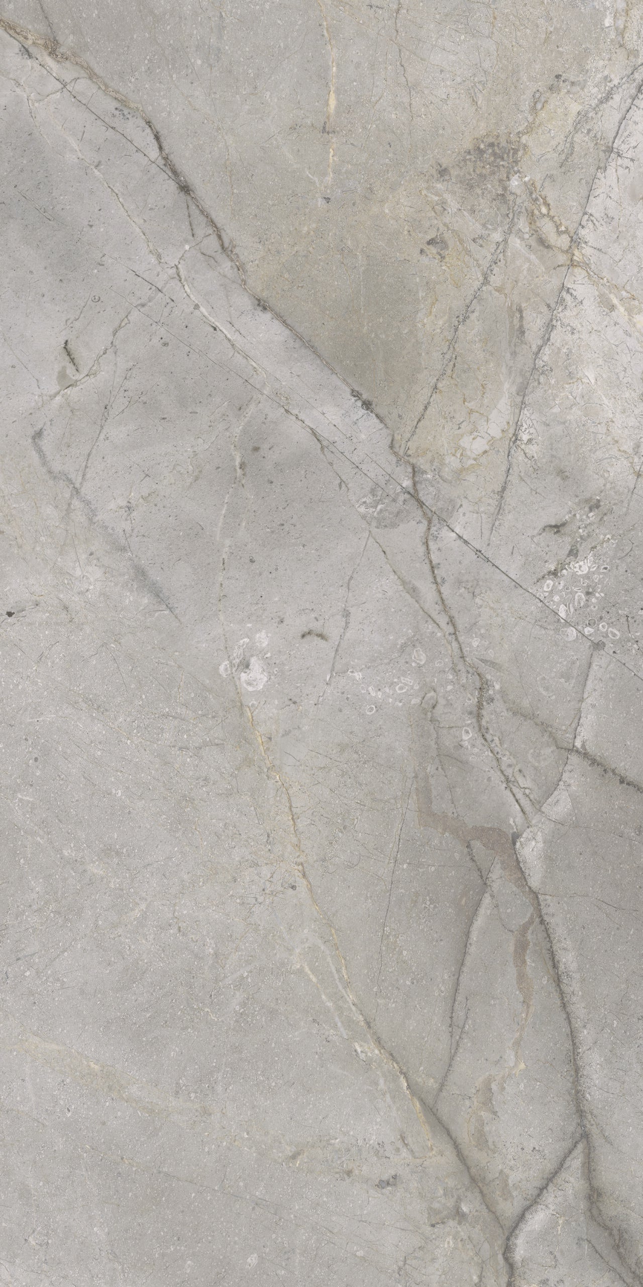 Masterstone Silver 60x120 rect