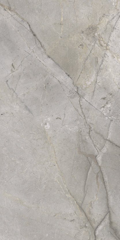 Masterstone Silver 60x120 rect