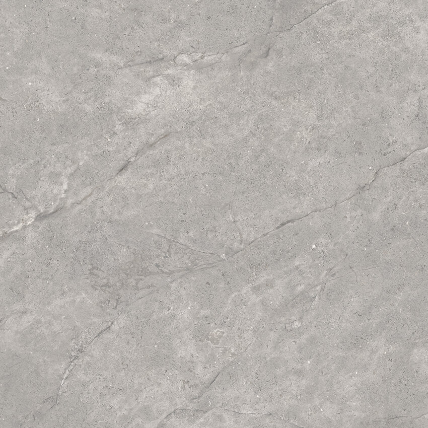Vloer- en wandtegel Adia Grey 120x120 rett