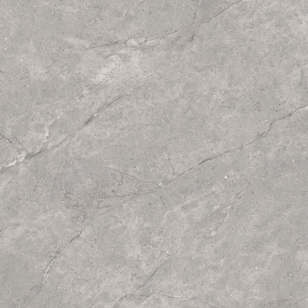 Vloer- en wandtegel Adia Grey 120x120 rett