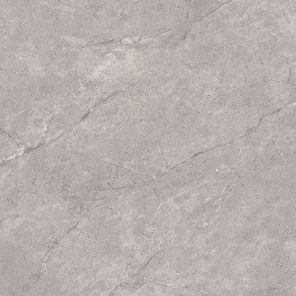 Vloer- en wandtegel Adia Grey 60x120 rett