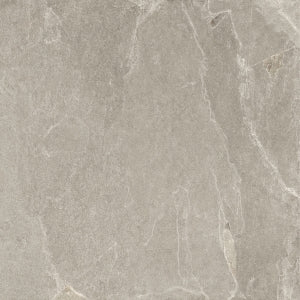 Vloer- en wandtegel Darcia Taupe 120x120 rett