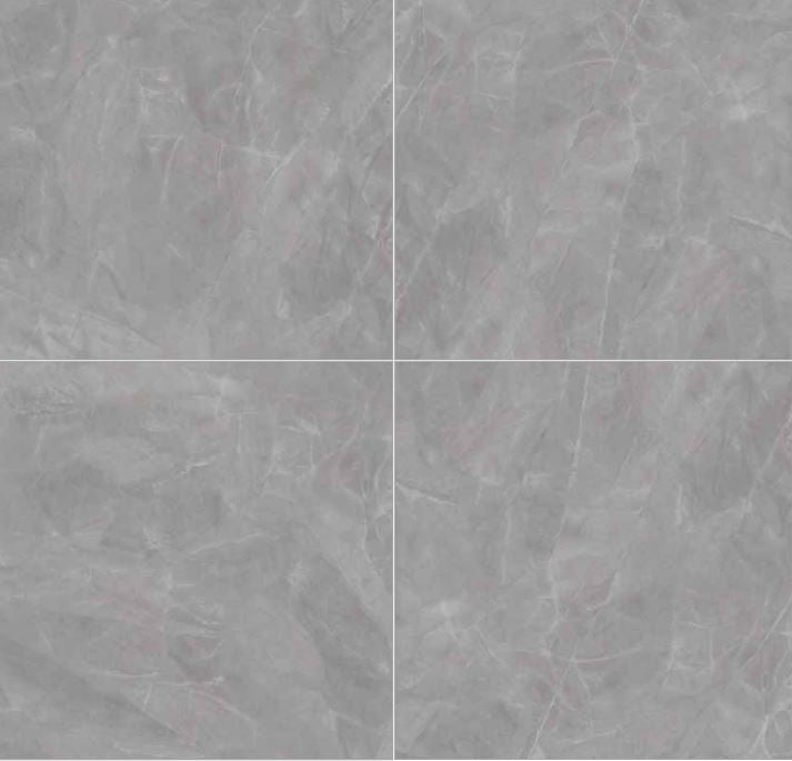 Vloer- en wandtegel Divina Silver gepolijst 60x60 rett - foto 2