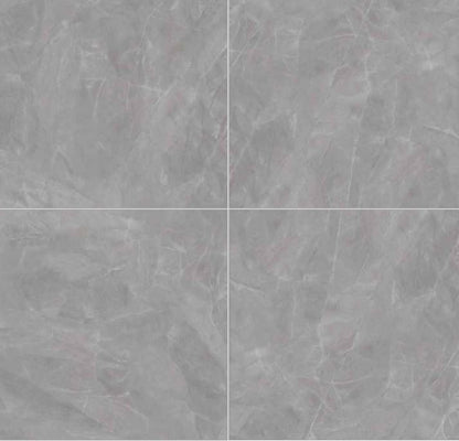 Vloer- en wandtegel Divina Silver gepolijst 60x60 rett - foto 2