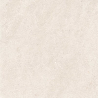 Vloer- en wandtegel Regula 1 Naturale 60x60 rett R10