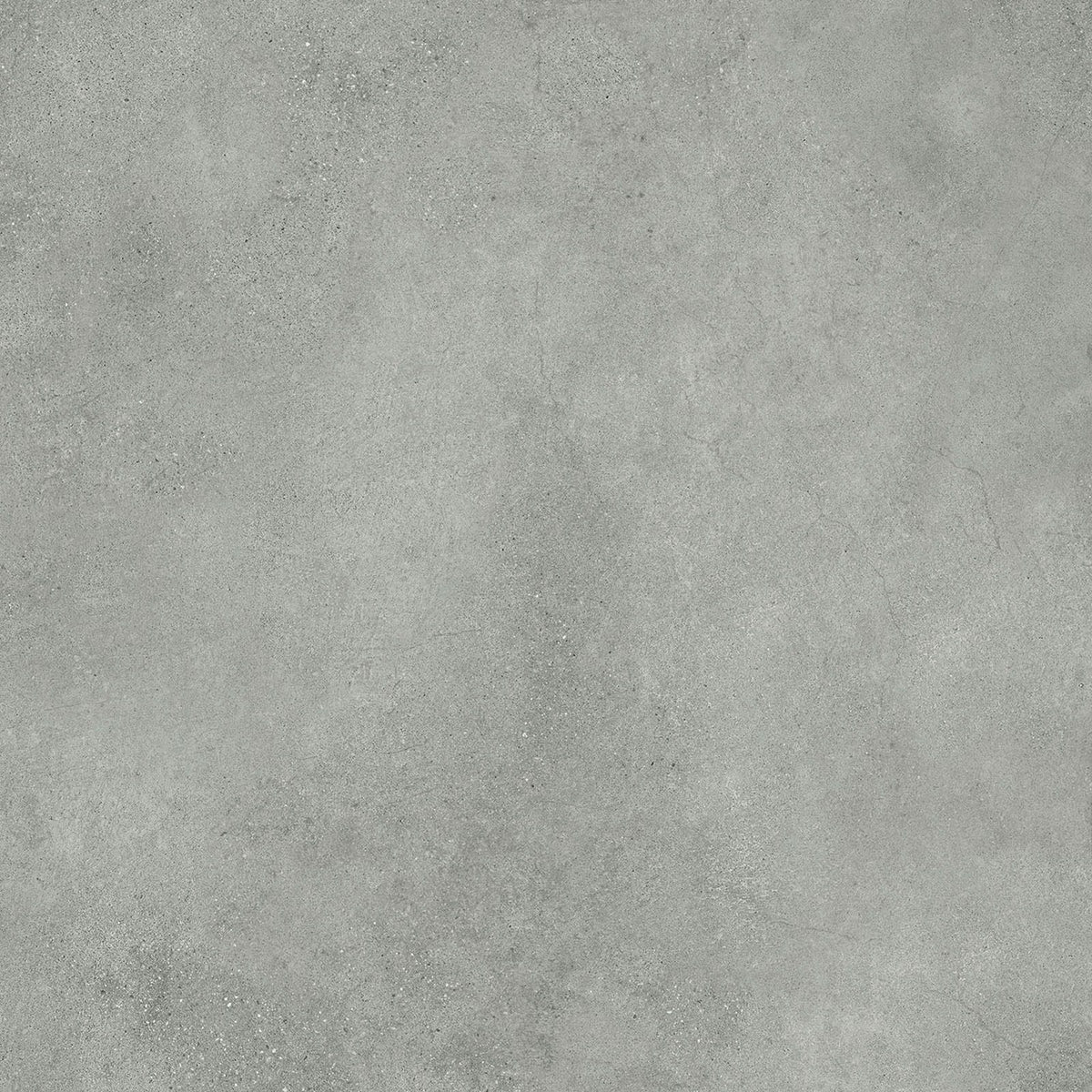 Vloer- en wandtegel Inter Gray 120x120 rett