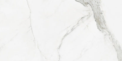 Statuario pulido 60x120 rett - WDtegels