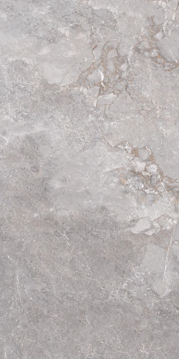 Golden Age Grey 60x120 rett