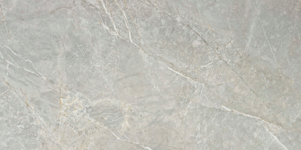 Syrah Light Polished 60x120 rect