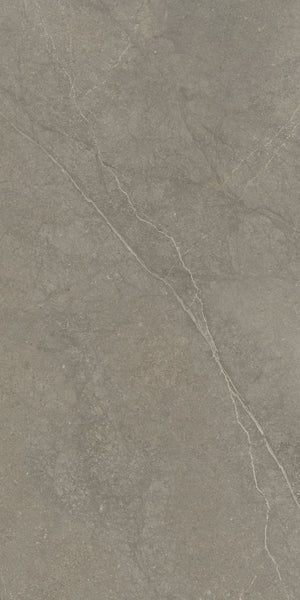 Vloertegel Munich Taupe 60x120 rett