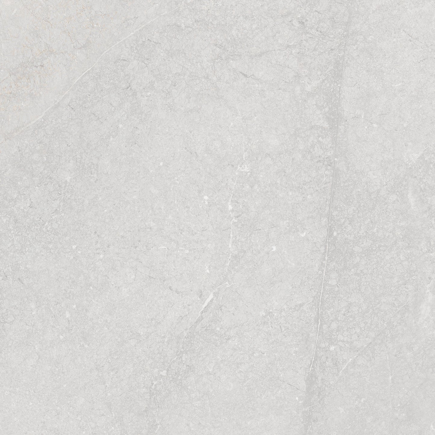 Vloertegel Munich White 60x60 rett - WDtegels