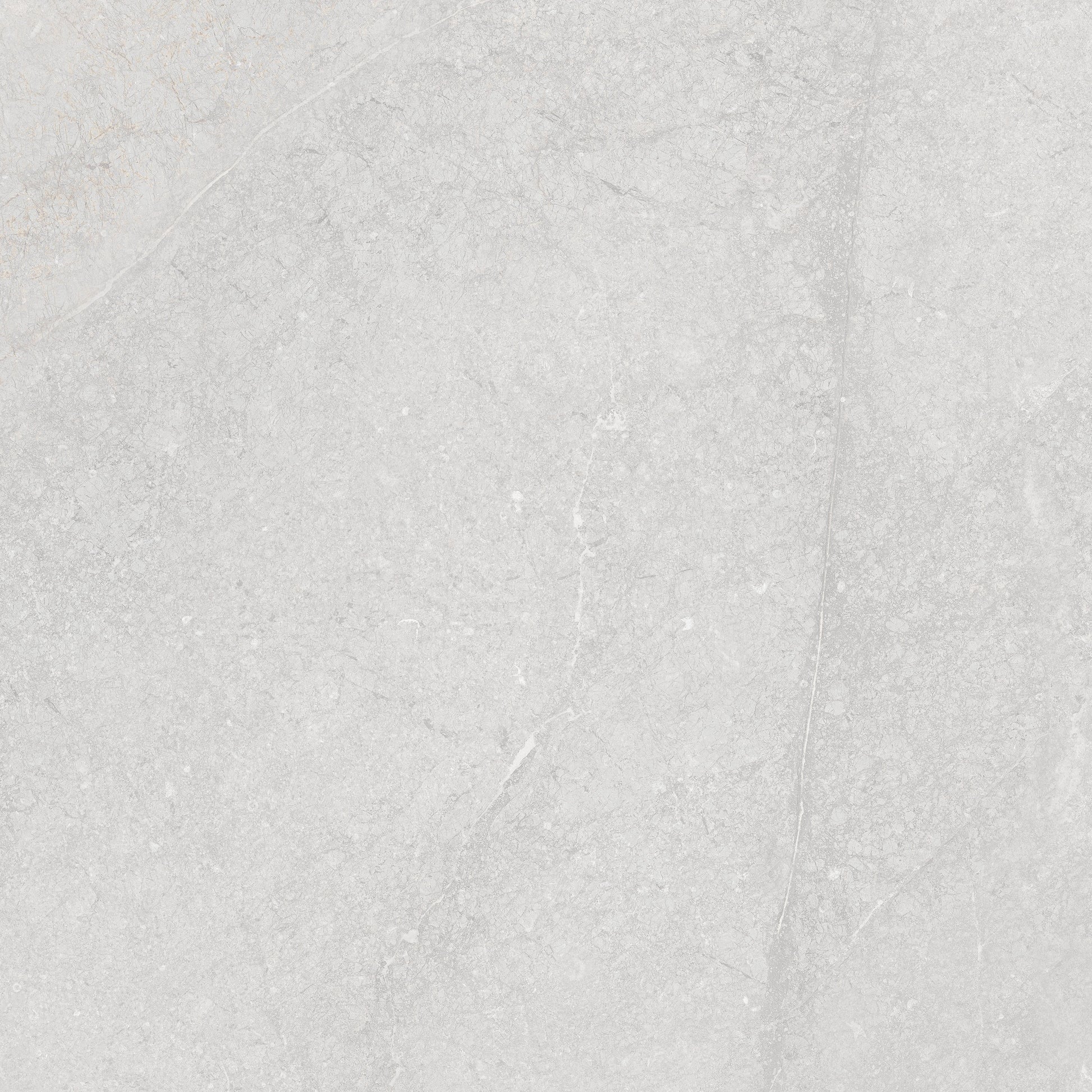 Vloertegel Munich White 60x60 rett - WDtegels