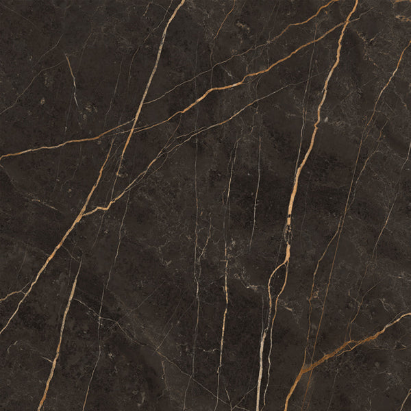 Vloertegel Saint Laurent polished 120x120 rett