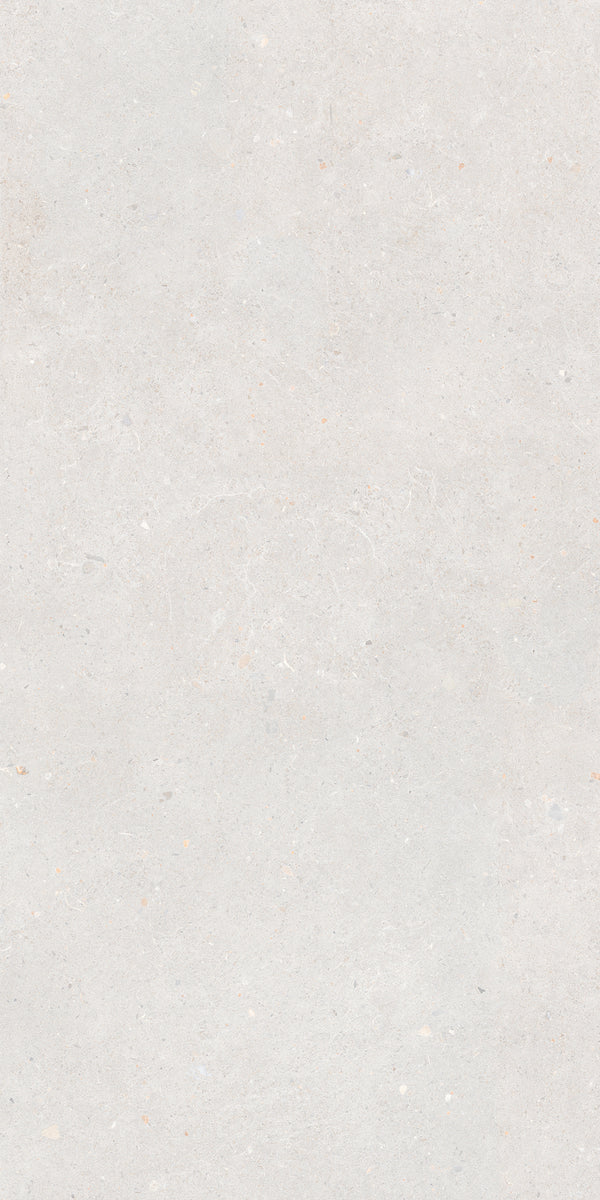 Vloertegel Brera Fresh 60x120 rett