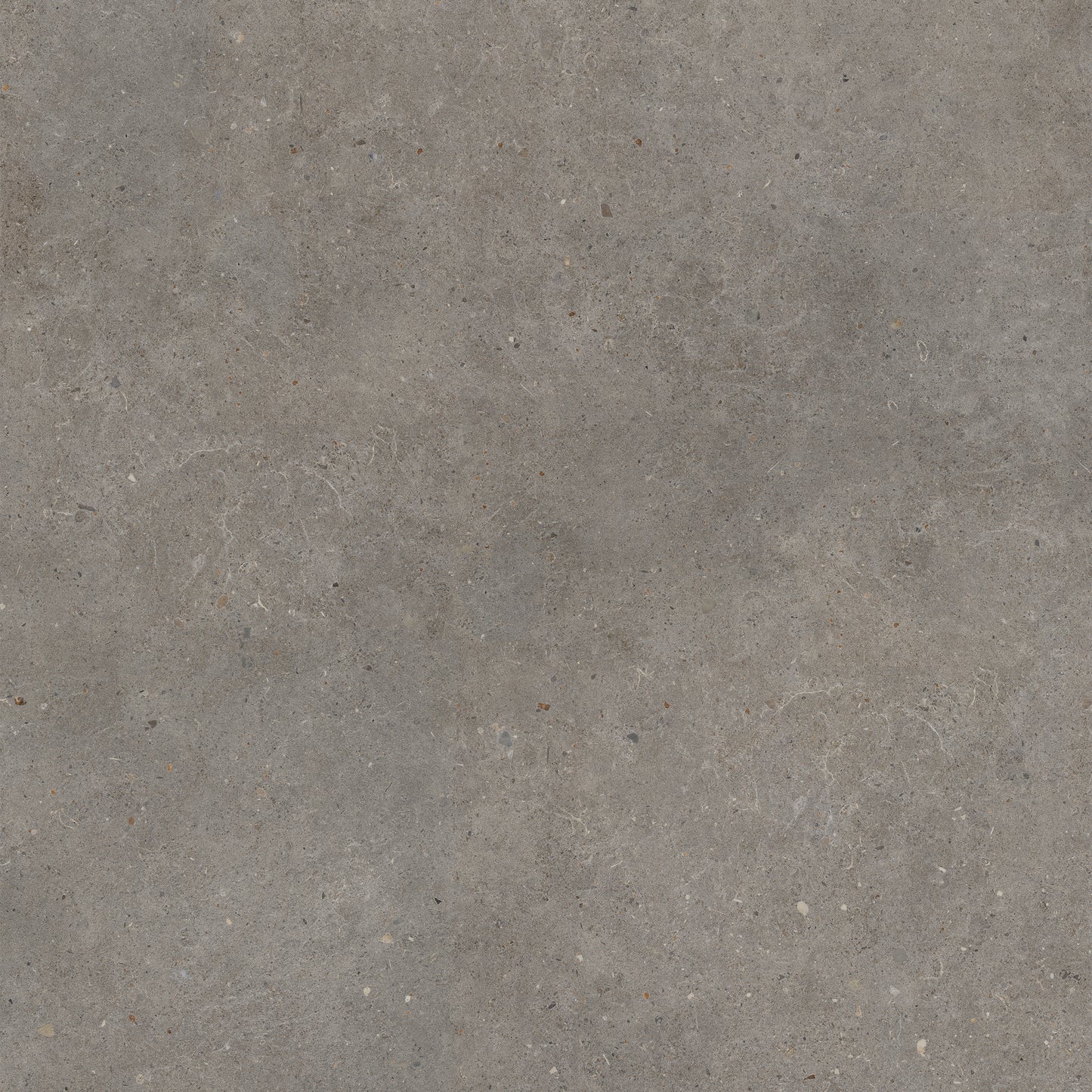 Vloertegel Brera Frame 120x120 rett - WDtegels
