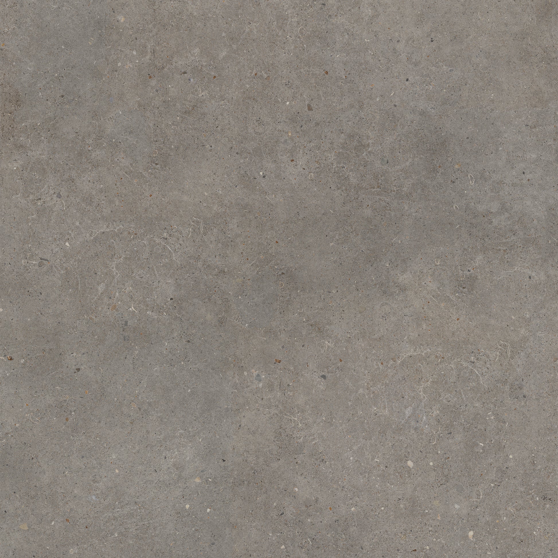 Vloertegel Brera Frame 120x120 rett - WDtegels