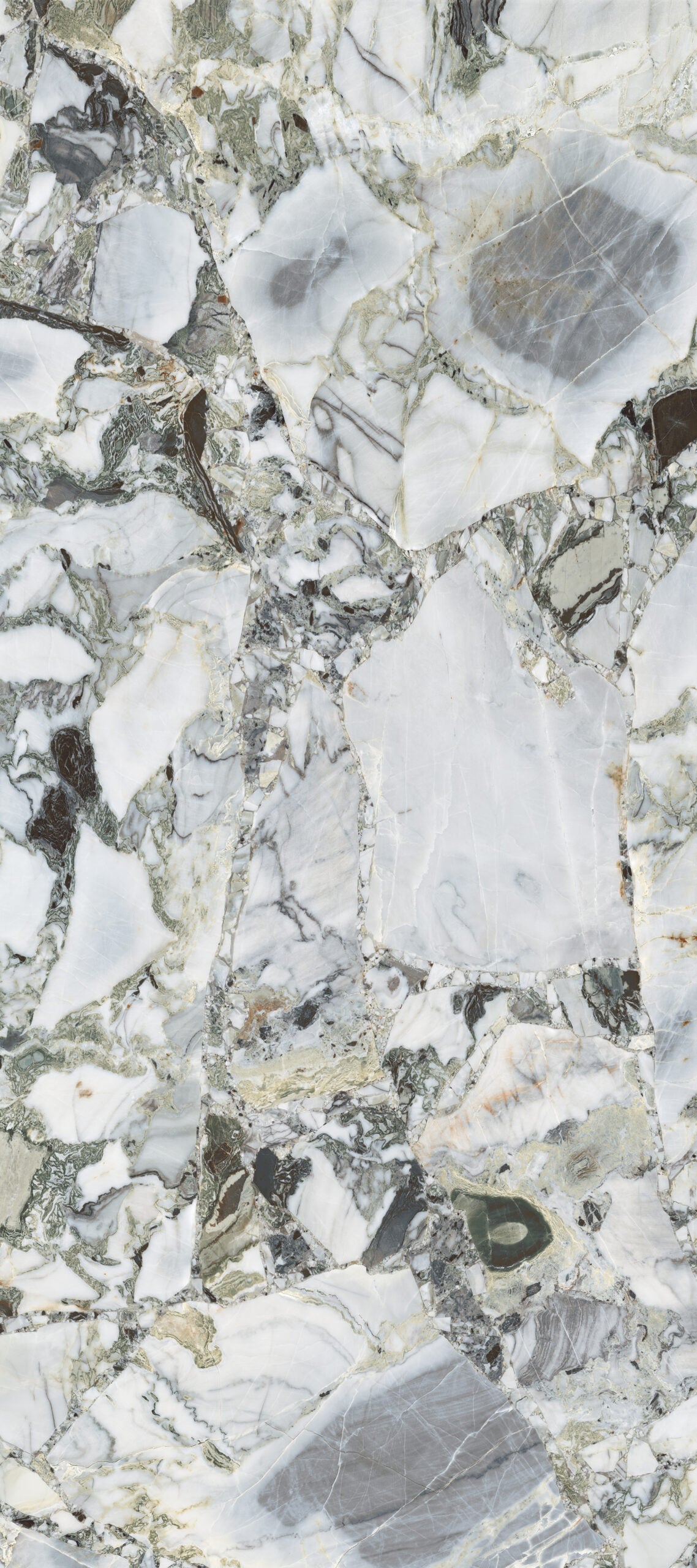 Slab White Beauty gepolijst 120x280 rett - WDtegels