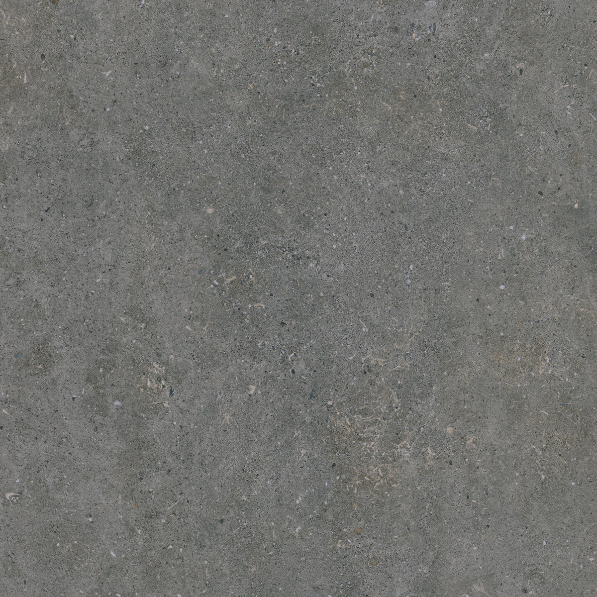 Terrastegel Acron Anthracite 60x60 rett 20mm – WDtegels