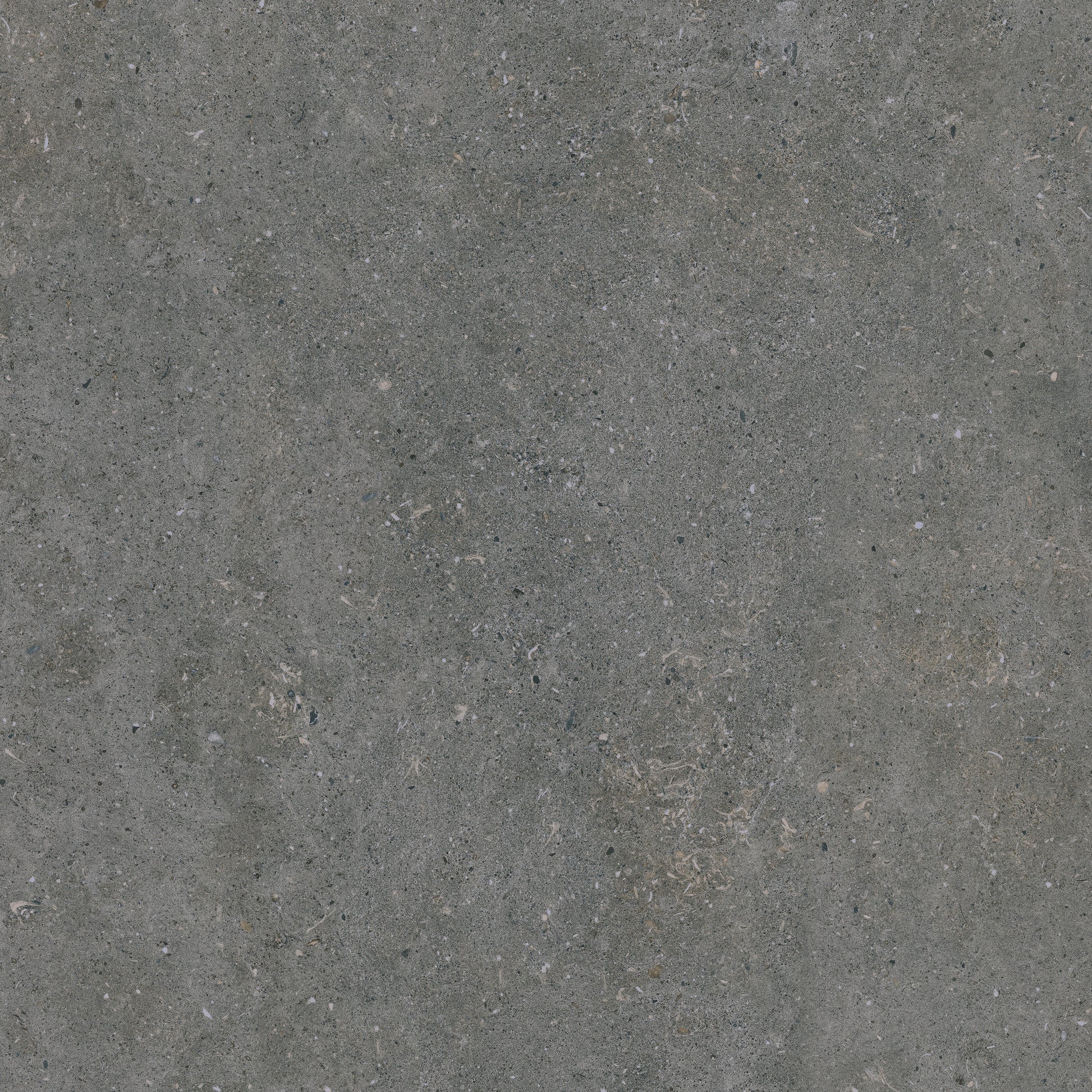 Terrastegel Acron Anthracite 60x60 rett 20mm