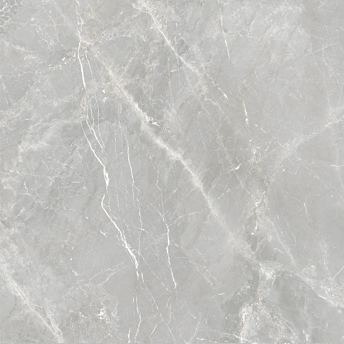 Vloertegel Fior di Bosco Perla silk 60x60 rett - WDtegels