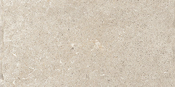 Chantilly Melange 30x60 chip