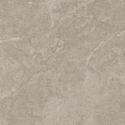 Duolith Fossil 60x60 ret