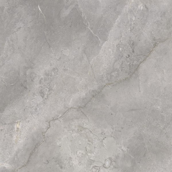 Vloer- en wandtegel Masterstone Silver mat 60x60 rett - foto 4