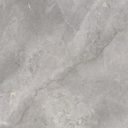 Vloer- en wandtegel Masterstone Silver mat 60x60 rett - foto 4