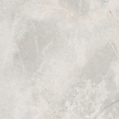 Vloer- en wandtegel Masterstone White gepolijst 60x60 rett