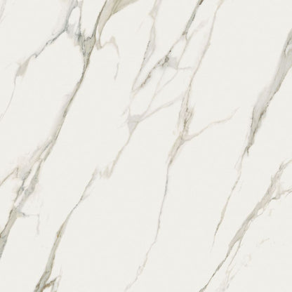 Vloer- en wandtegel Siana Calacatta Naturale 120x120 rett