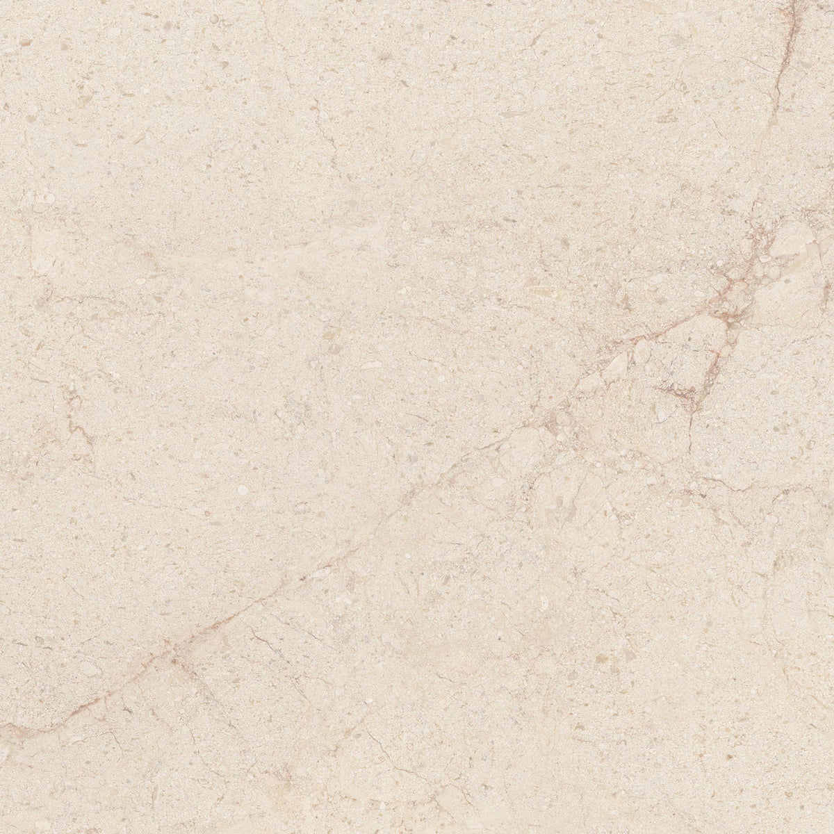 Vloer- en wandtegel Tudor Almond 90x90 rett