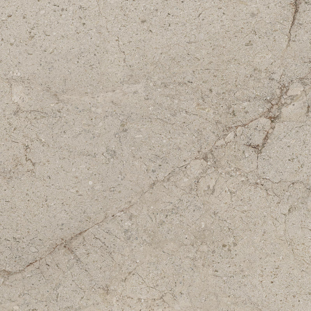 Vloer- en wandtegel Tudor Greige 120x120 rett